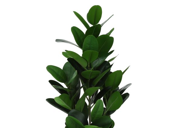 ARTIFICIAL PLANT - 28"H / INDOOR GARCINIA IN A 5" POT