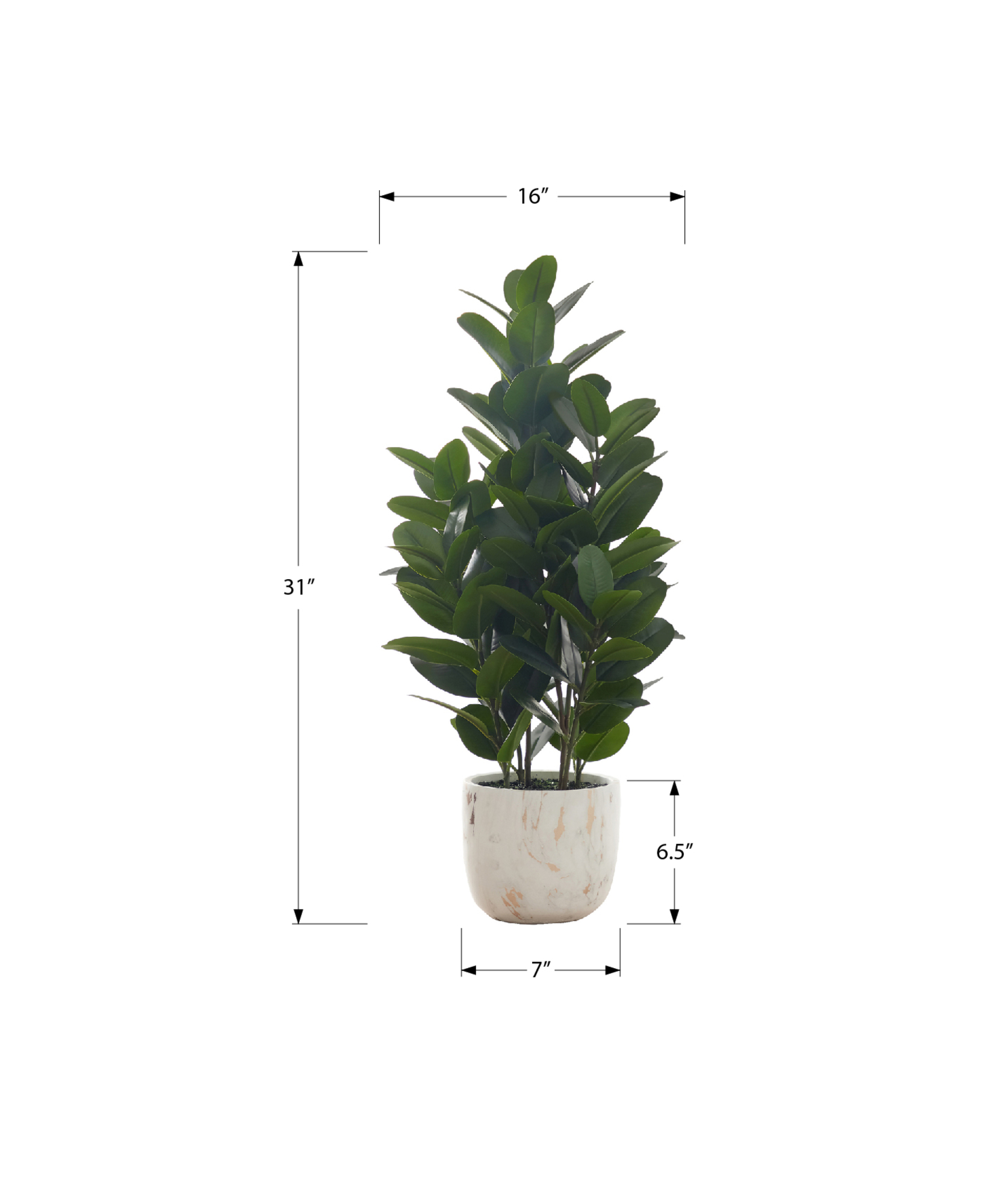 ARTIFICIAL PLANT - 31"H / INDOOR GARCINIA IN A 7" POT