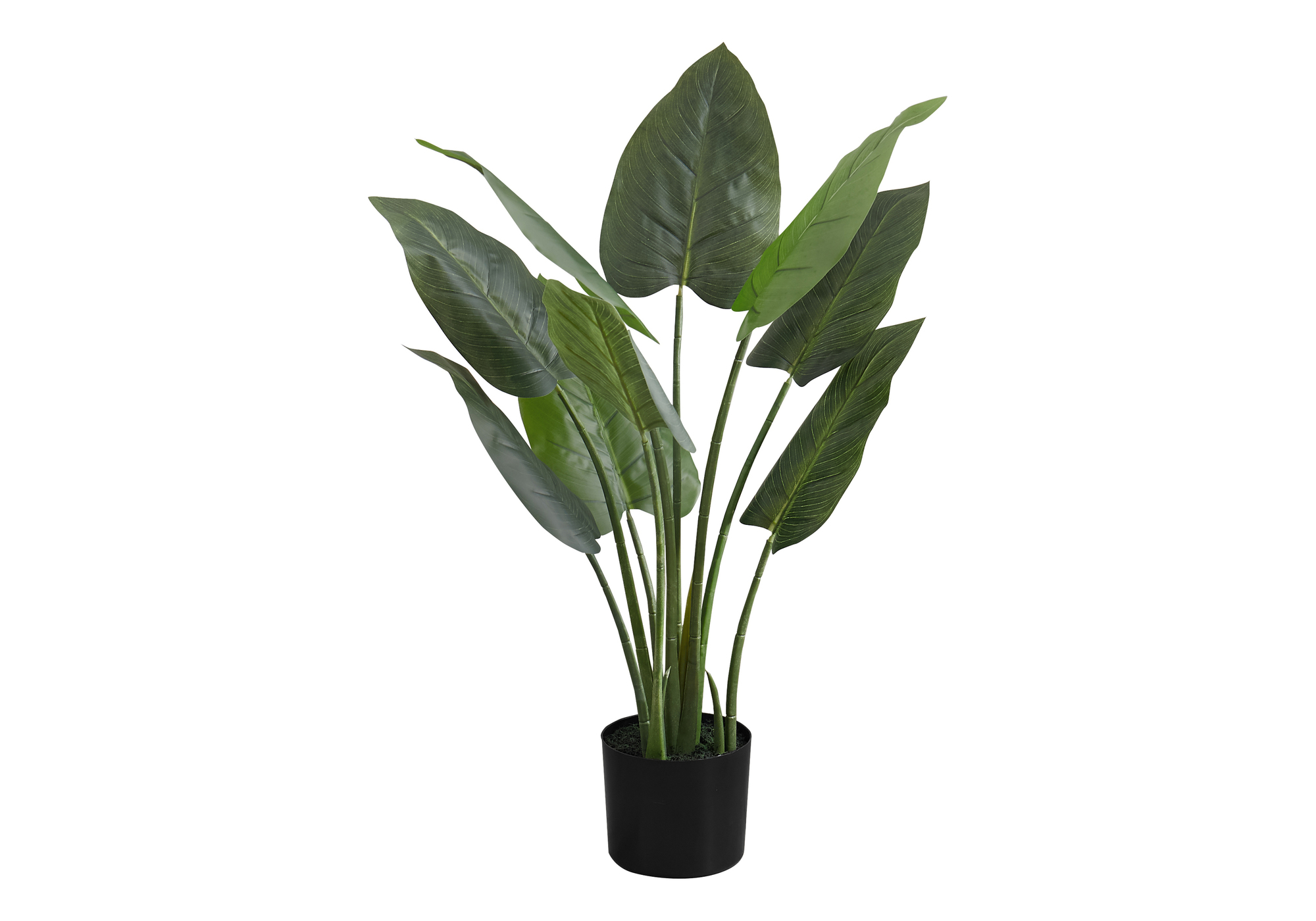 ARTIFICIAL PLANT - 37"H / INDOOR AUREUM IN A 6" POT