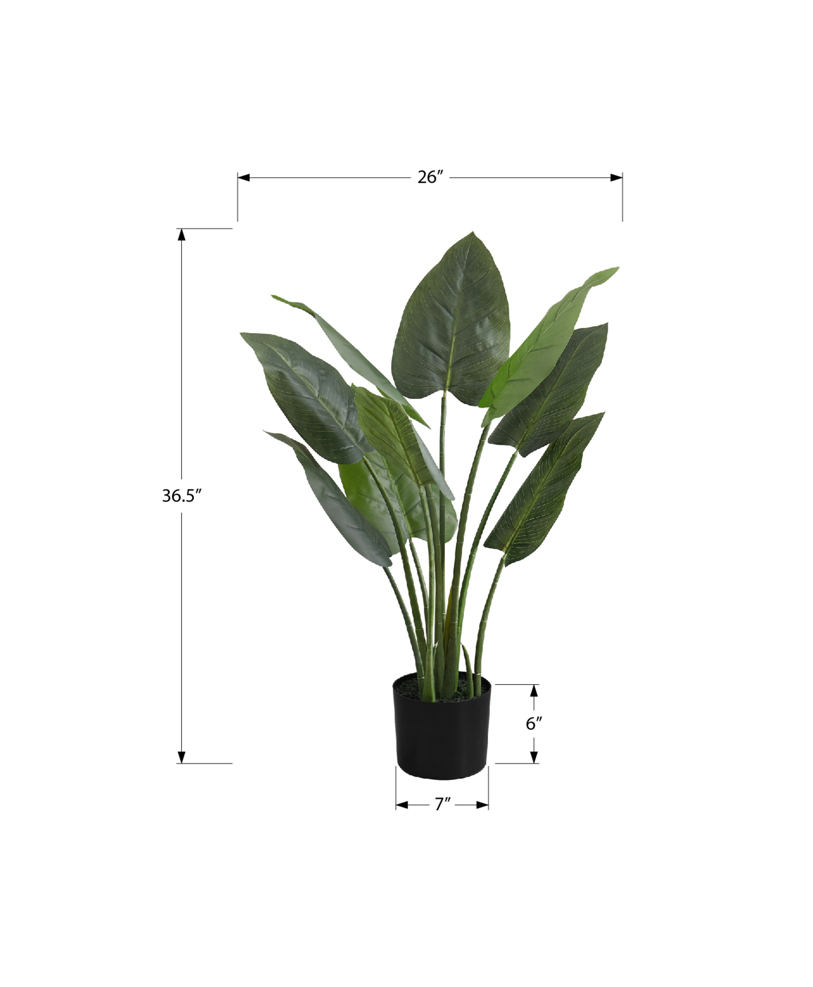 ARTIFICIAL PLANT - 37"H / INDOOR AUREUM IN A 6" POT