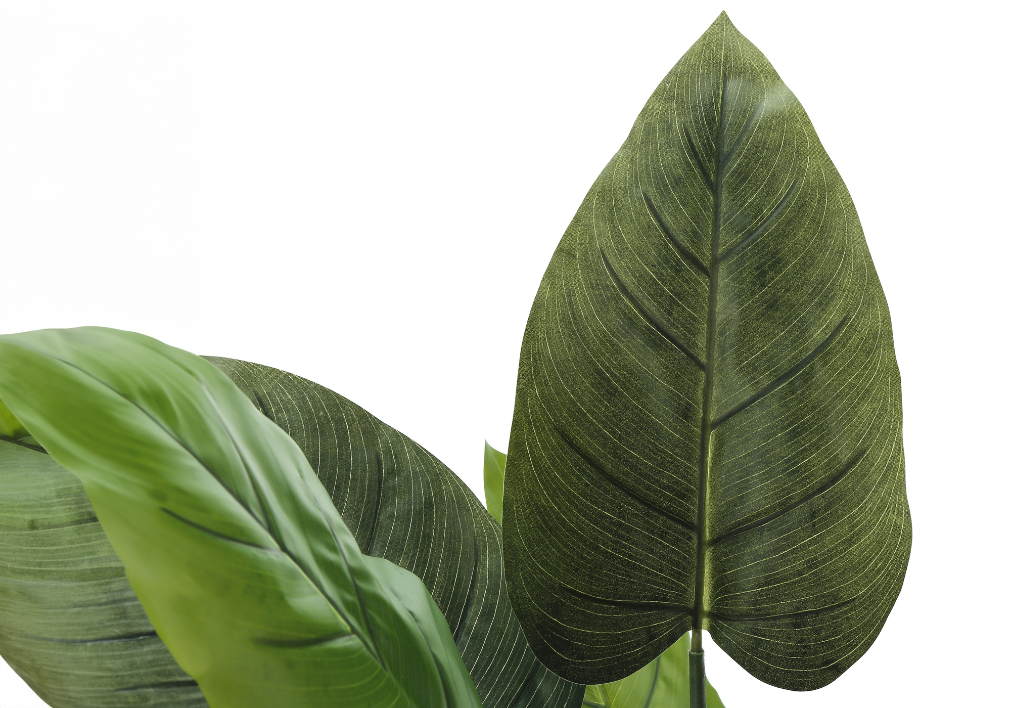 ARTIFICIAL PLANT - 37"H / INDOOR AUREUM IN A 6" POT