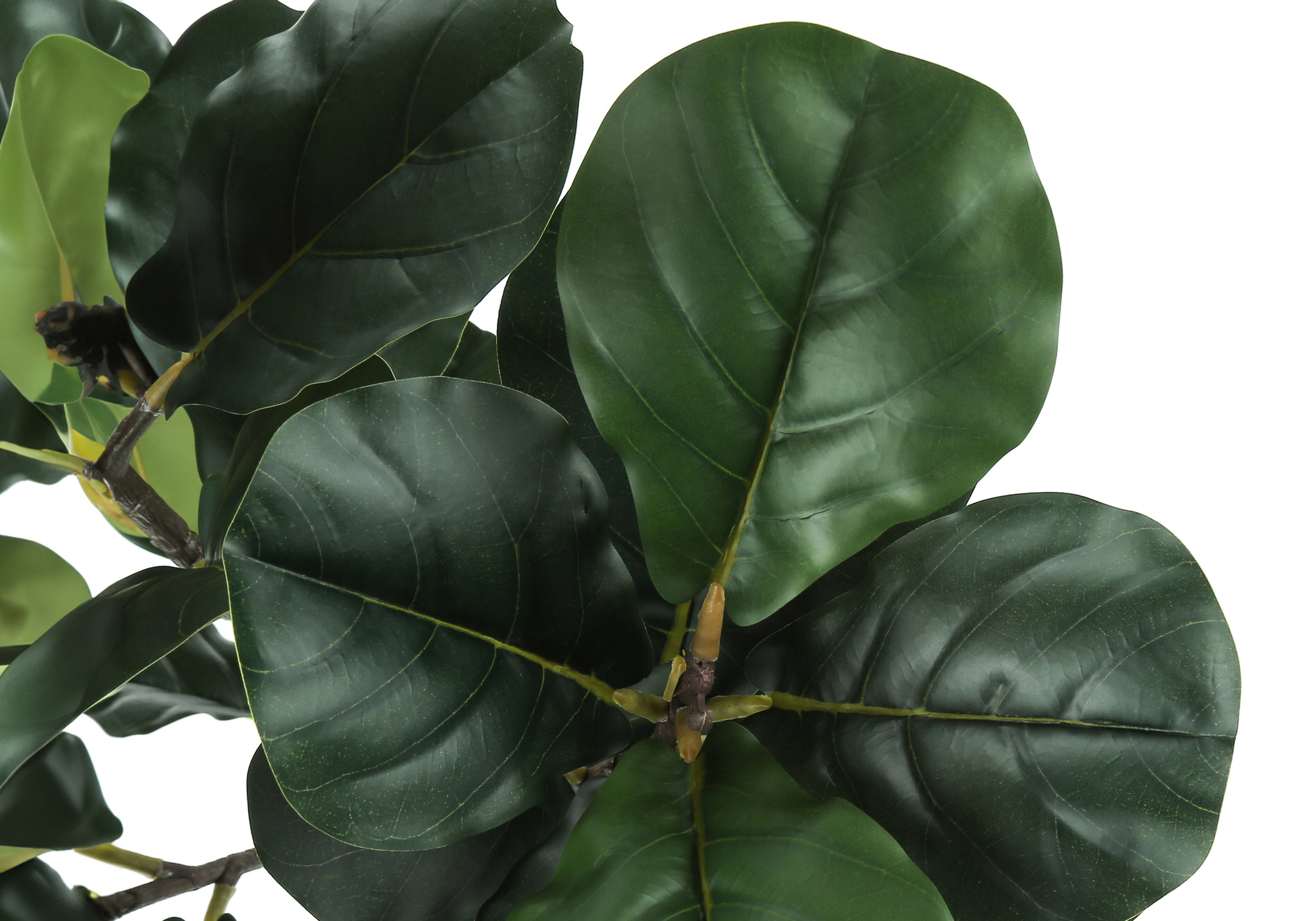 ARTIFICIAL PLANT - 47"H / INDOOR FIDDLE TREE IN A 5" POT