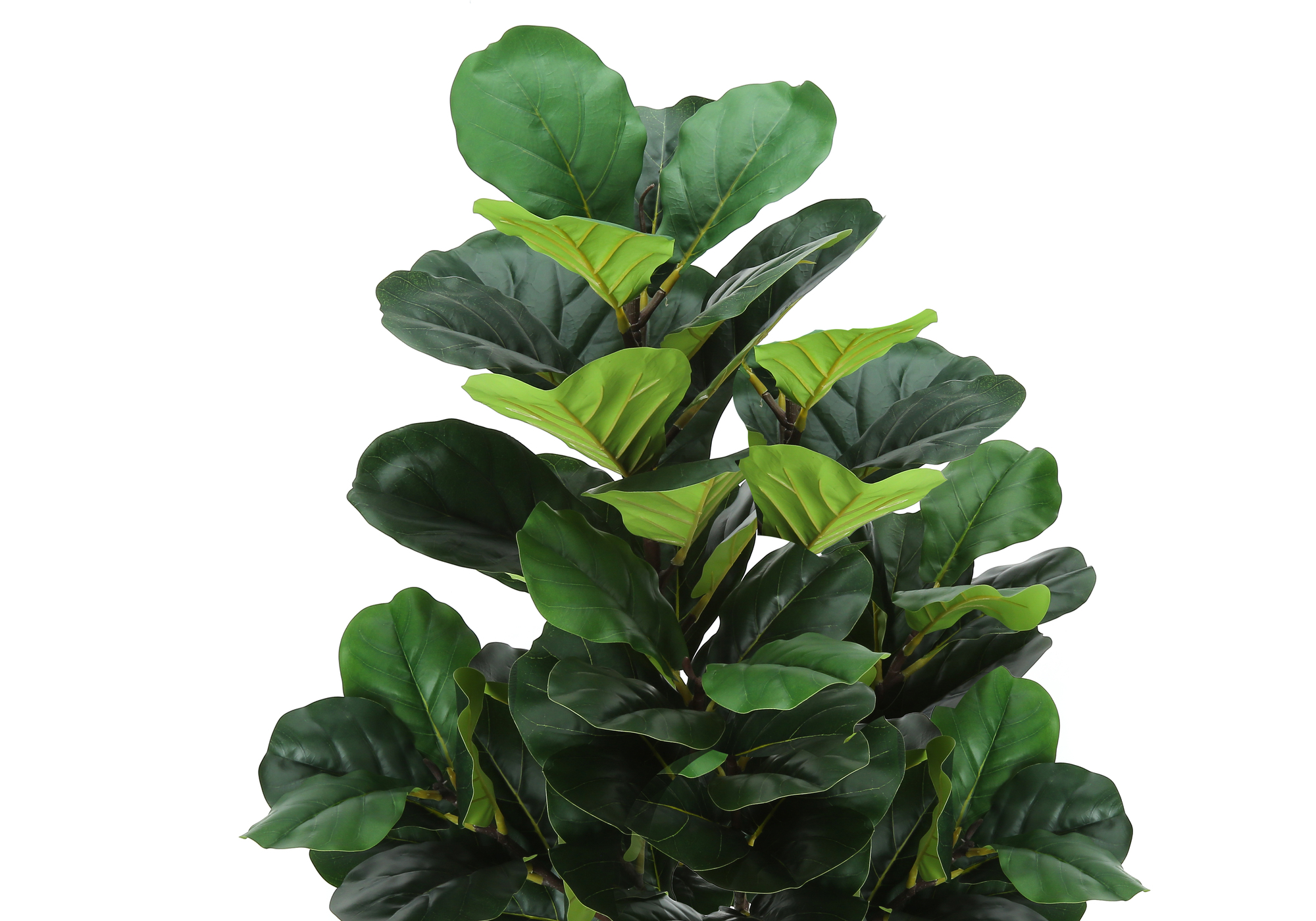 ARTIFICIAL PLANT - 47"H / INDOOR FIDDLE TREE IN A 5" POT