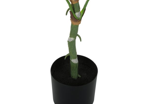 ARTIFICIAL PLANT - 54"H / INDOOR DIEFFENBACHIA / 6" POT
