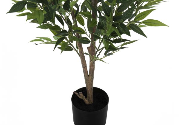 ARTIFICIAL PLANT - 47"H / INDOOR ACACIA TREE IN A 5" POT
