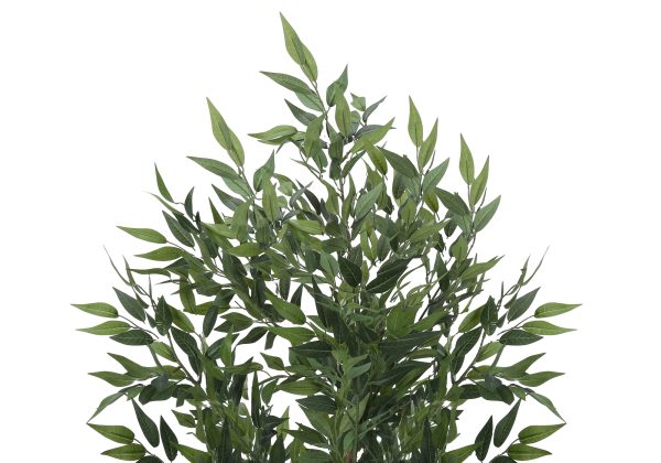 ARTIFICIAL PLANT - 47"H / INDOOR ACACIA TREE IN A 5" POT