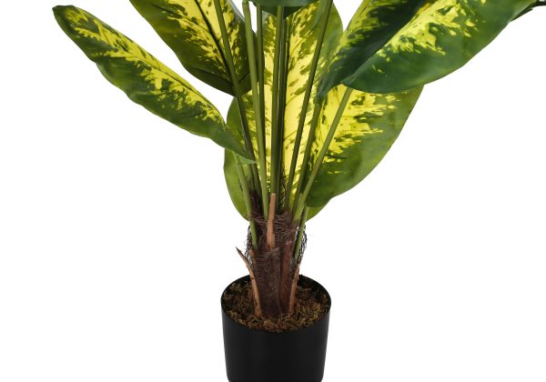 ARTIFICIAL PLANT - 47"H / INDOOR EVERGREEN IN A 5" POT