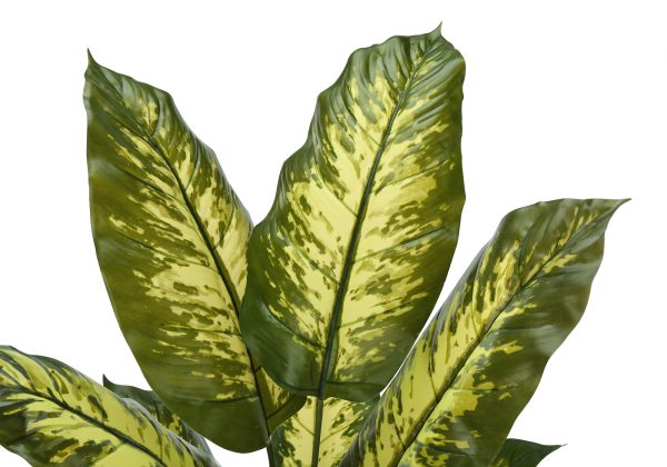 ARTIFICIAL PLANT - 47"H / INDOOR EVERGREEN IN A 5" POT