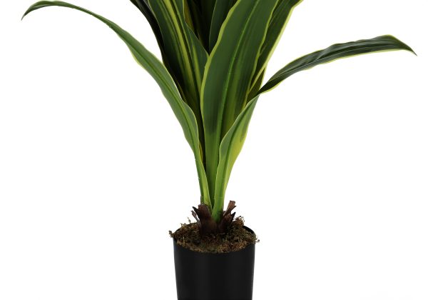 ARTIFICIAL PLANT - 47"H / INDOOR DRACAENA IN A 5" POT
