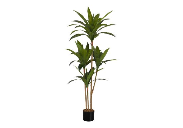 ARTIFICIAL PLANT - 51"H / INDOOR DRACAENA IN A 5" POT