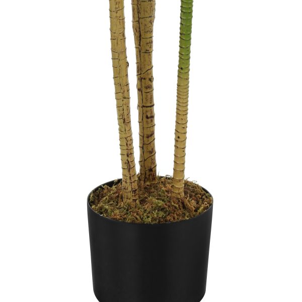 ARTIFICIAL PLANT - 51"H / INDOOR DRACAENA IN A 5" POT