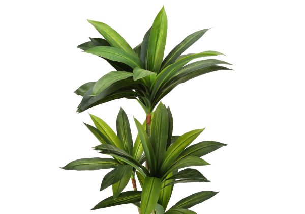ARTIFICIAL PLANT - 51"H / INDOOR DRACAENA IN A 5" POT