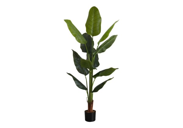 ARTIFICIAL PLANT - 59"H / INDOOR STRELITZIA IN A 5" POT