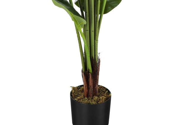 ARTIFICIAL PLANT - 59"H / INDOOR STRELITZIA IN A 5" POT