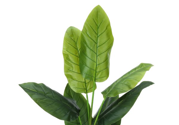 ARTIFICIAL PLANT - 59"H / INDOOR STRELITZIA IN A 5" POT