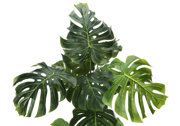 ARTIFICIAL PLANT - 55"H / INDOOR MONSTERA IN A 6" POT