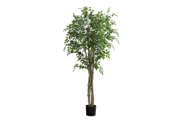 ARTIFICIAL PLANT - 79"H / INDOOR FICUS TREE IN A 8" POT