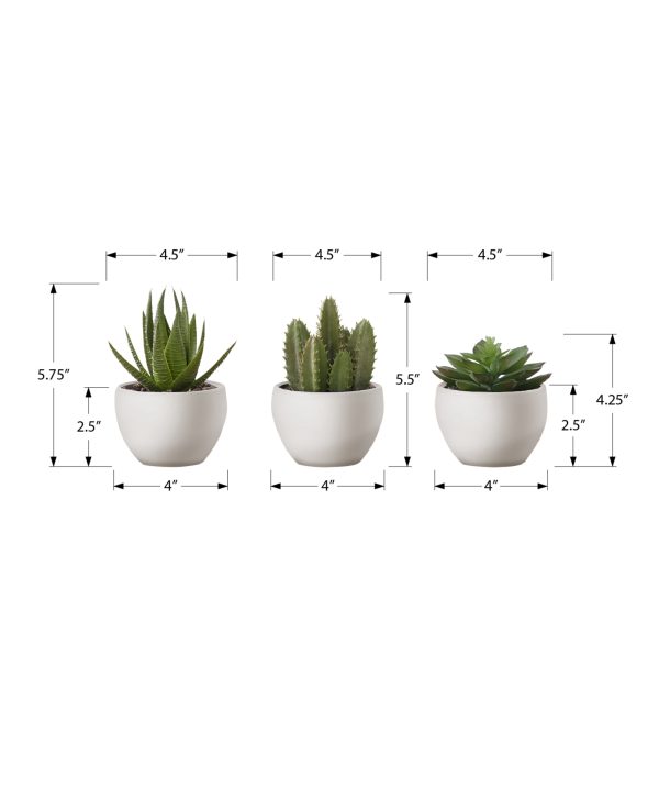 ARTIFICIAL PLANT - 3PCS / 6"H SUCCULENT IN A 3" WHITE POT