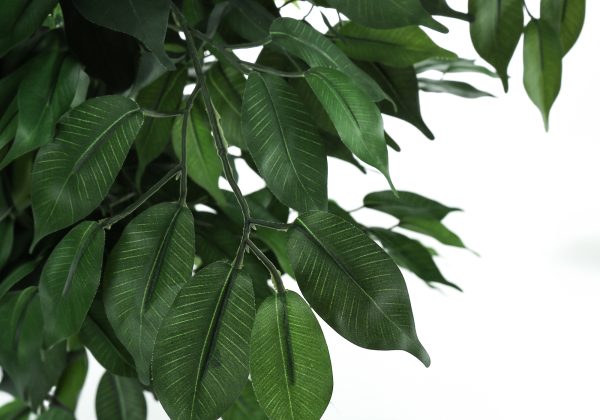 ARTIFICIAL PLANT - 58"H / INDOOR FICUS TREE IN A 6" POT
