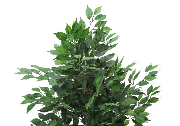 ARTIFICIAL PLANT - 58"H / INDOOR FICUS TREE IN A 6" POT