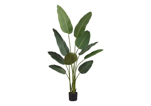 ARTIFICIAL PLANT - 60"H / INDOOR BIRD OF PARADISE 5" POT