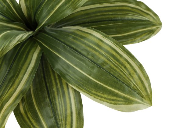ARTIFICIAL PLANT - 17"H / INDOOR DRACAENA IN A 4" POT