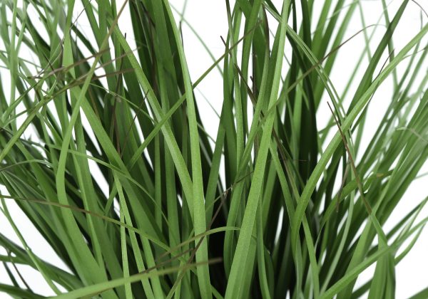 ARTIFICIAL PLANT - 23"H / INDOOR GRASS IN A 4" BLACK POT