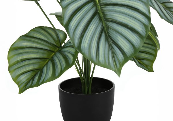 ARTIFICIAL PLANT - 24"H / INDOOR CALATHEA IN A 5" POT