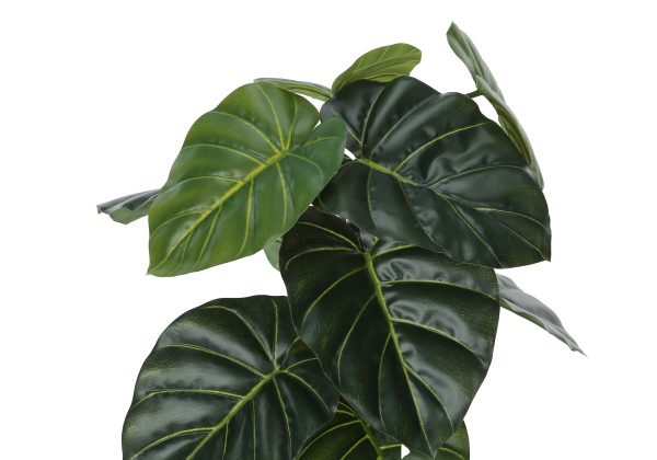 ARTIFICIAL PLANT - 24"H / INDOOR ALOCASIA IN A 5" POT