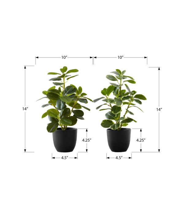 ARTIFICIAL PLANT - 2PCS / 14"H FICUS ELASTICA IN 4" POT