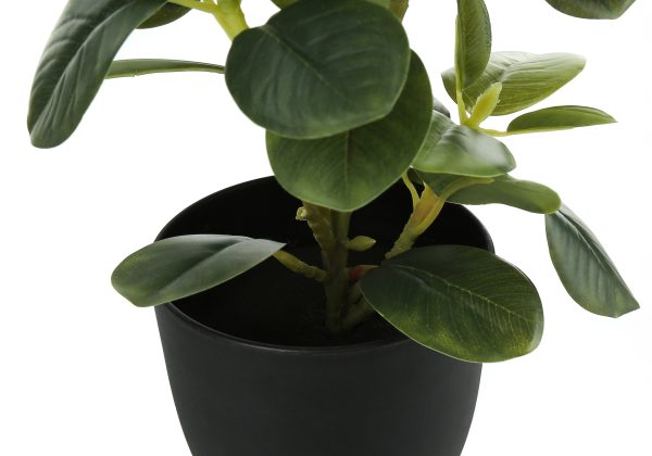 ARTIFICIAL PLANT - 2PCS / 14"H FICUS ELASTICA IN 4" POT