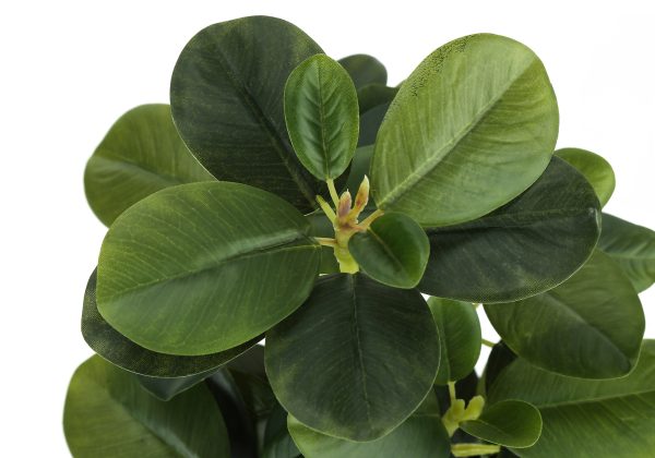 ARTIFICIAL PLANT - 2PCS / 14"H FICUS ELASTICA IN 4" POT