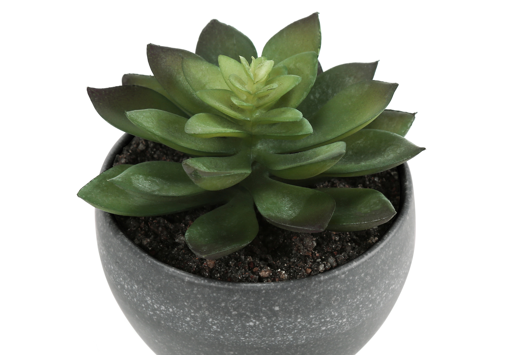 ARTIFICIAL PLANT - 3PCS / 6"H SUCCULENT IN A 3" GREY POT