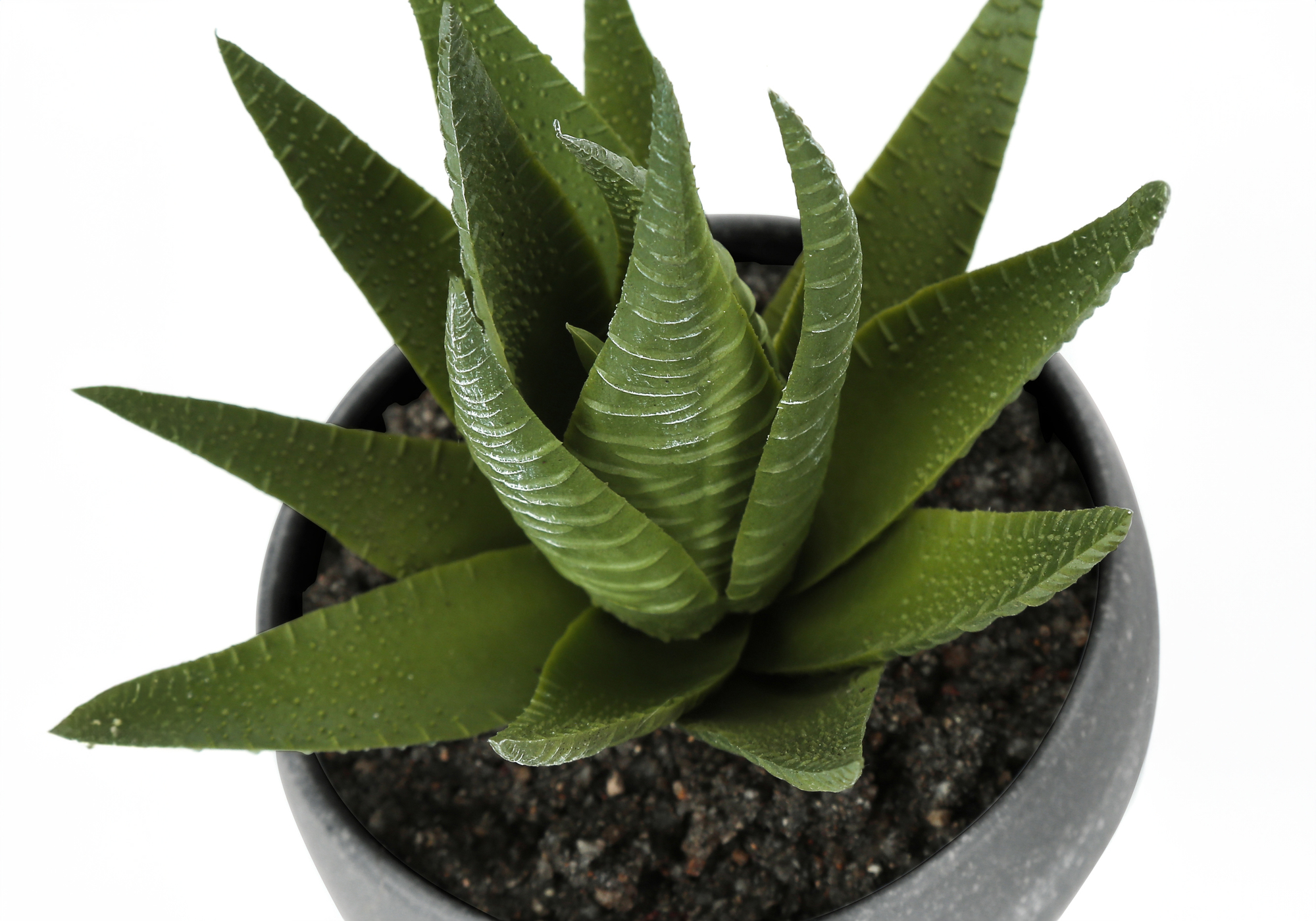 ARTIFICIAL PLANT - 3PCS / 6"H SUCCULENT IN A 3" GREY POT