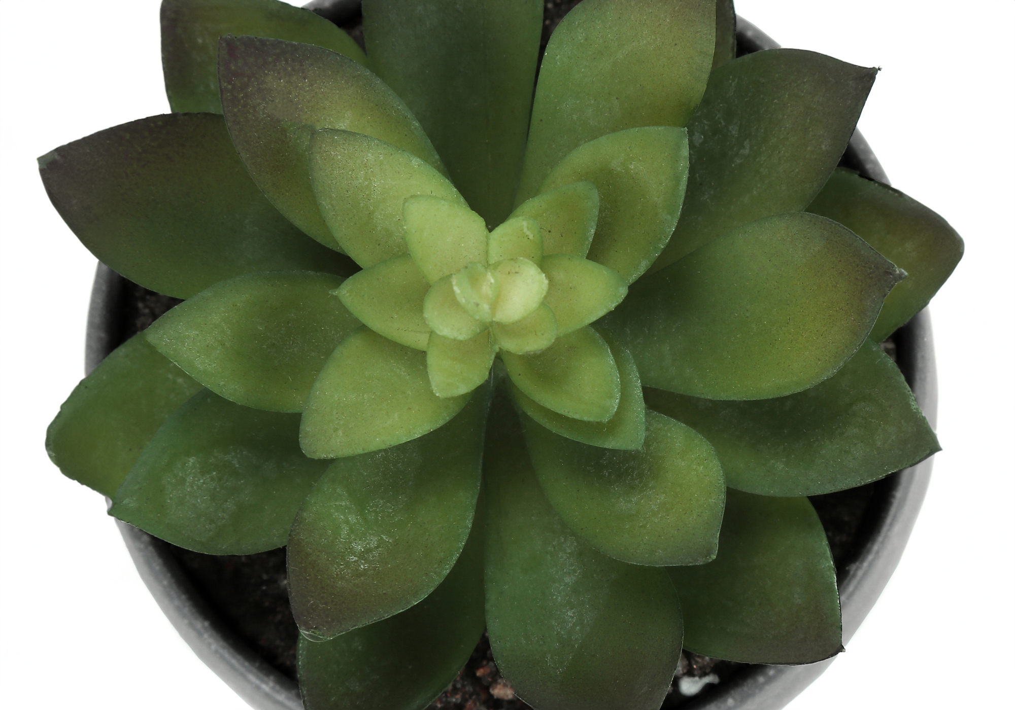ARTIFICIAL PLANT - 3PCS / 6"H SUCCULENT IN A 3" GREY POT