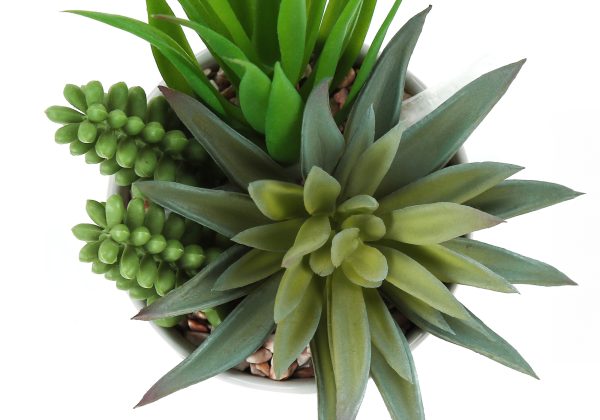 ARTIFICIAL PLANT - 2PCS / 7"H SUCCULENT IN 3" CERAMIC POT