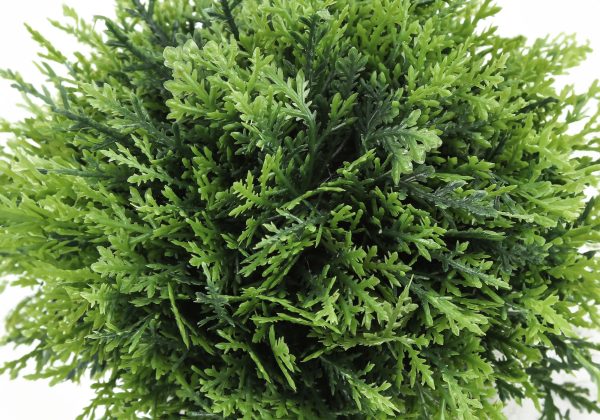 ARTIFICIAL PLANT - 3PCS / 5"H GRASS IN A 3" GREY POT