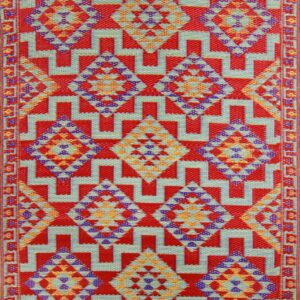 Viana Fiesta - 4’x6’