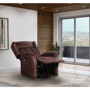 Oscar Power Lift and Mobility Aid Chair