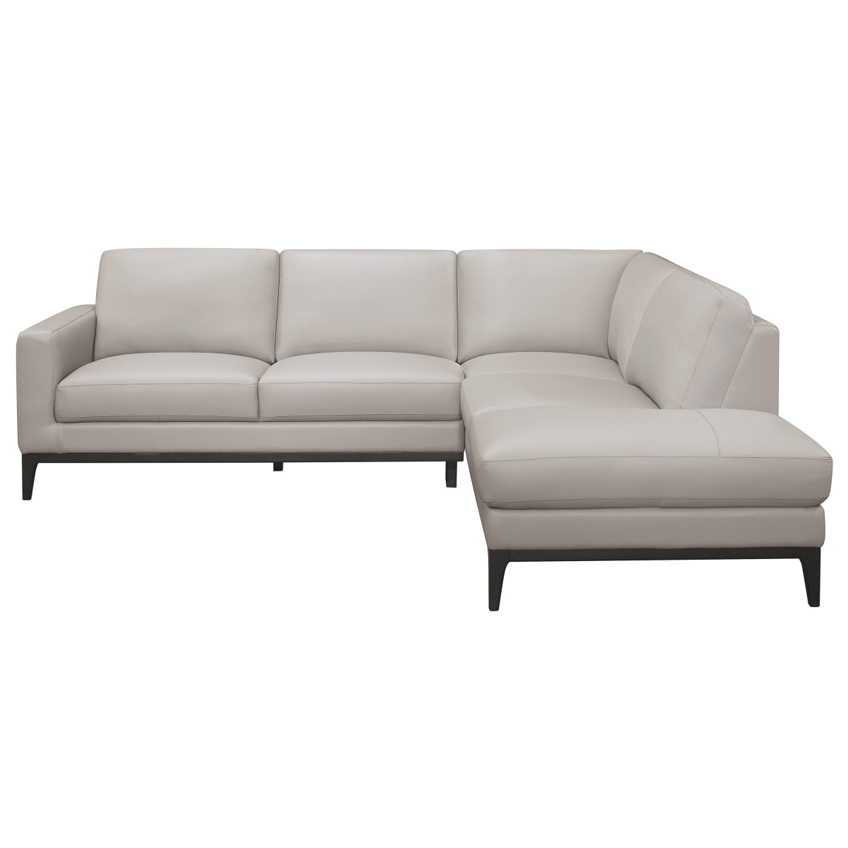 Nico Modern Elegant Gray Leather Sectional