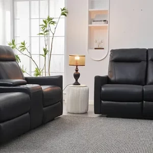 Lenard Black Power Loveseat